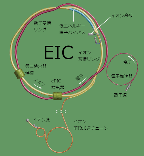 Schematic view of EIC