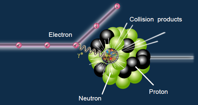 electron Ion Collision